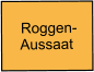Roggen-  Aussaat